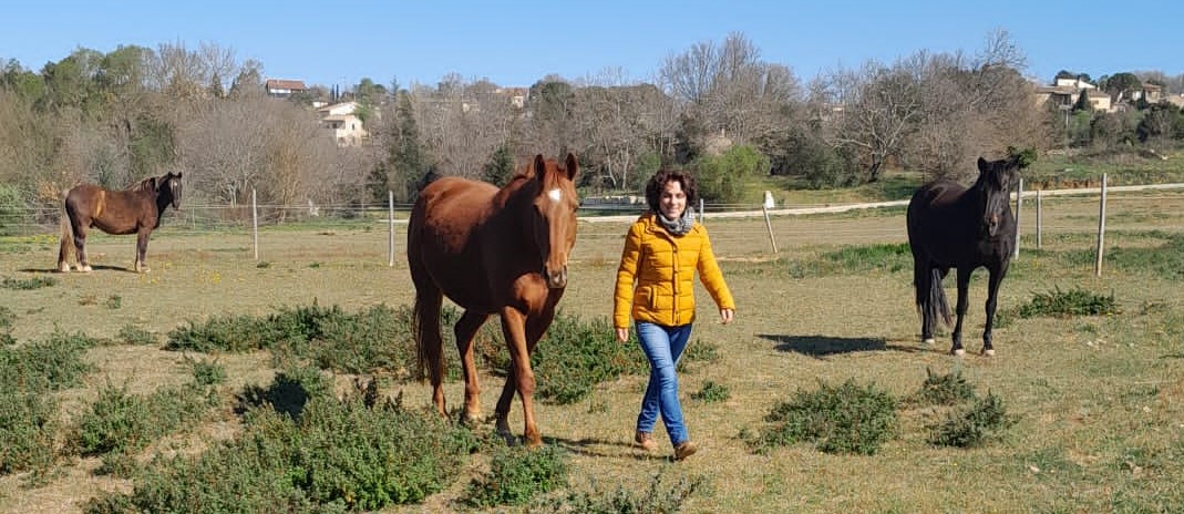 coaching-sabine-champetier-pleine-confiance-VAGNAS-ardeche-chevaux