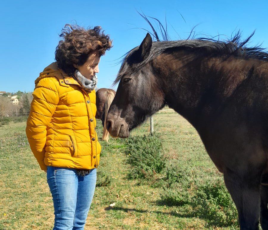 Ponette Sevenne et sabine face a face